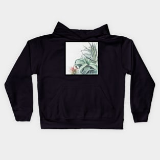 Air Plant Collection Kids Hoodie